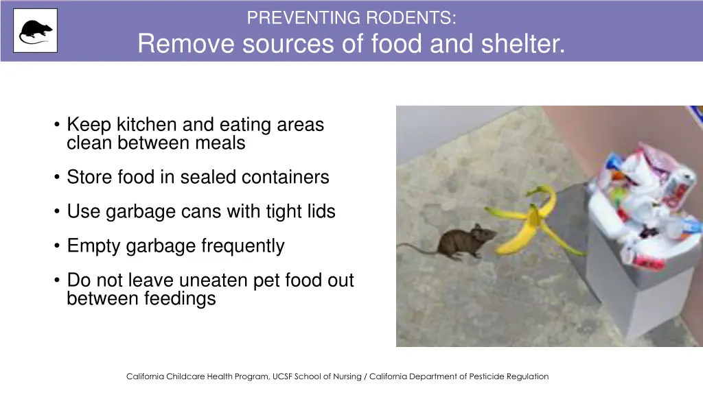 preventing rodents