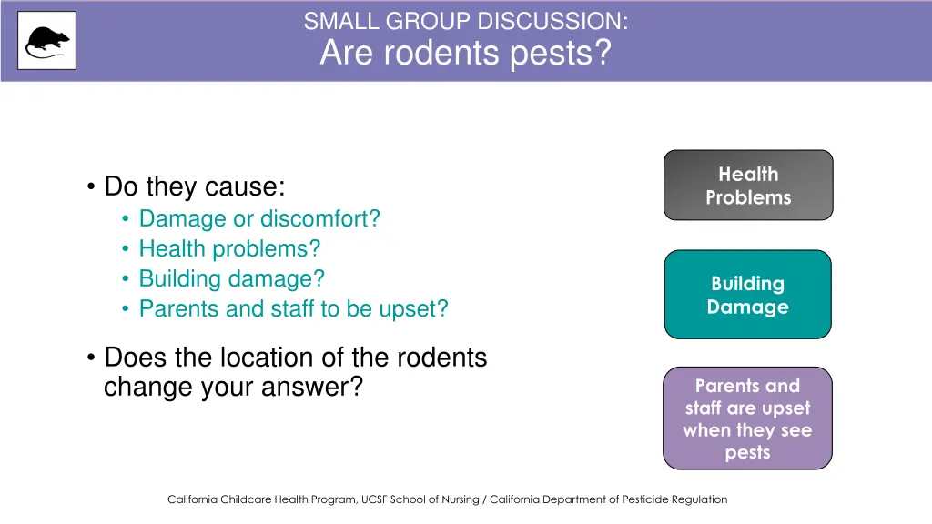 small group discussion are rodents pests