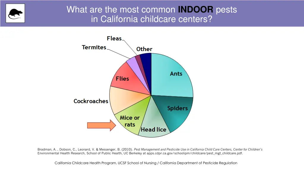 what are the most common indoor pests