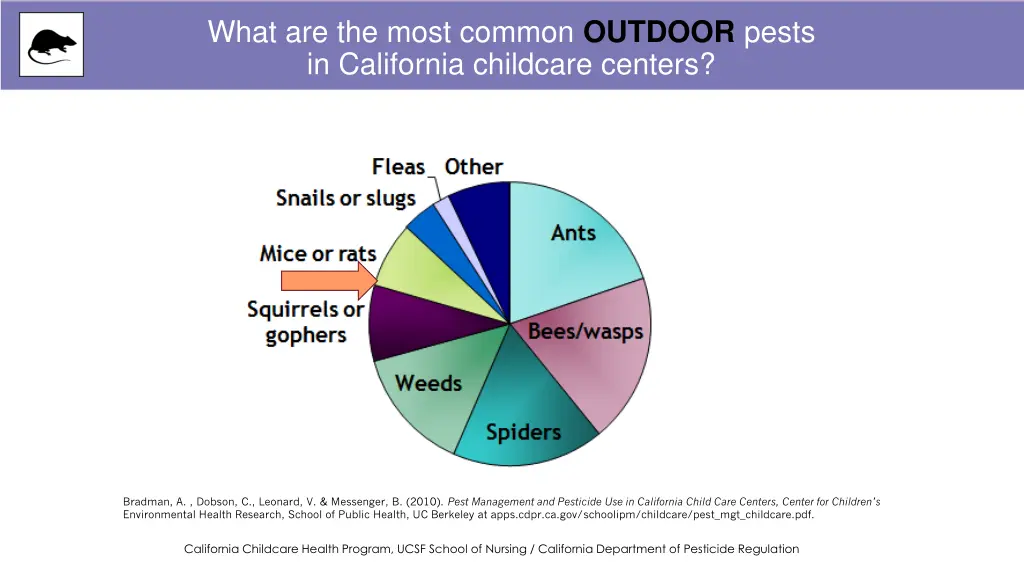 what are the most common outdoor pests