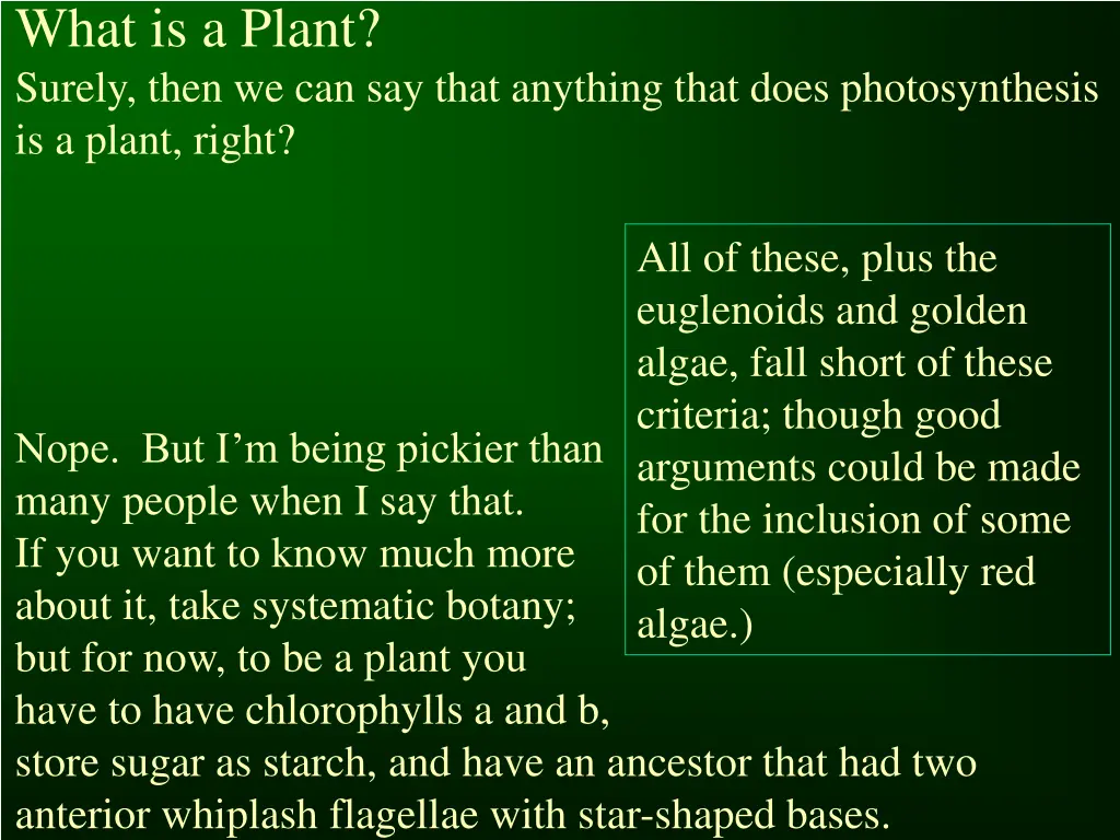 what is a plant surely then we can say that