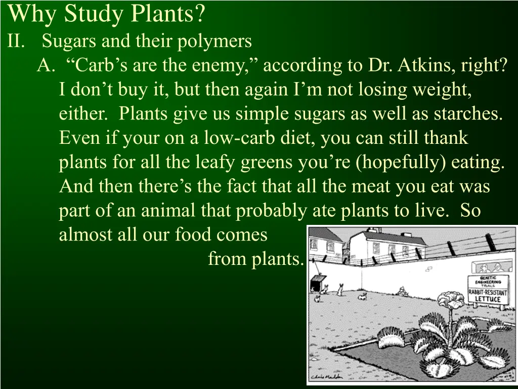 why study plants ii sugars and their polymers