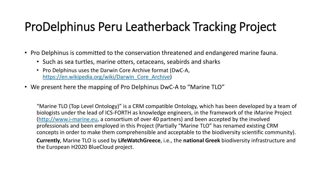 prodelphinus prodelphinus peru leatherback