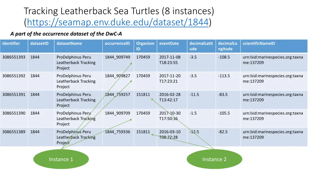 tracking leatherback sea turtles 8 instances 3