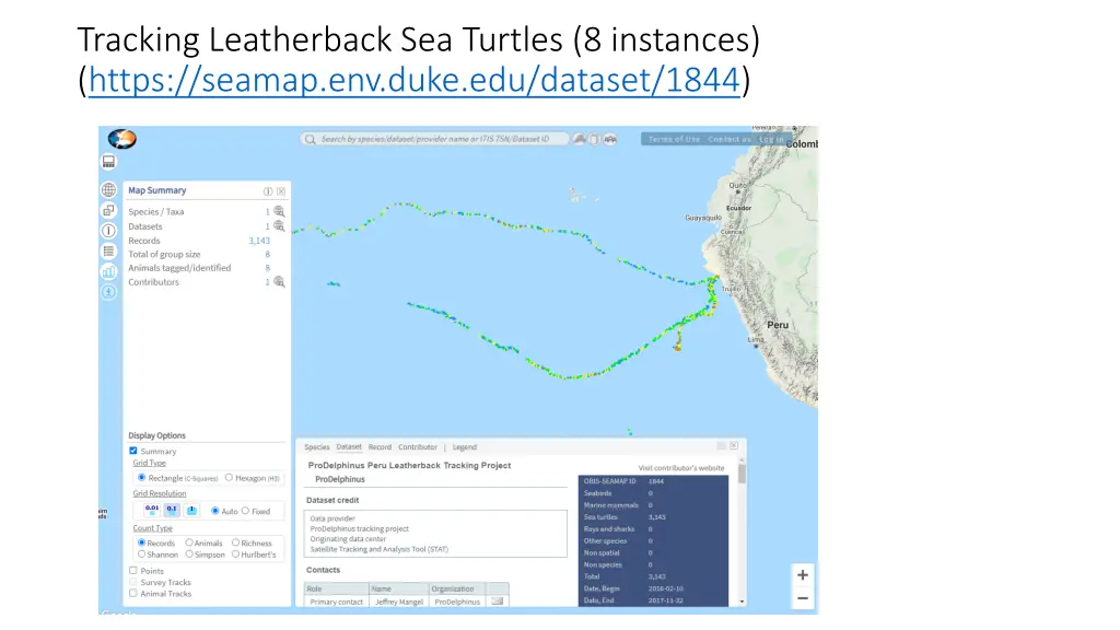 tracking leatherback sea turtles 8 instances