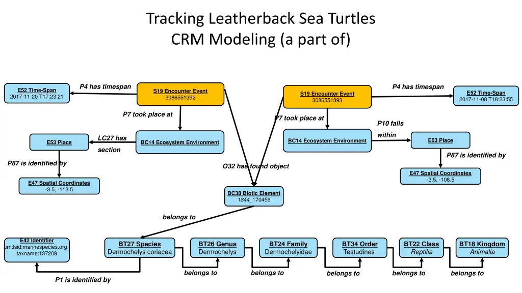 tracking leatherback sea turtles crm modeling