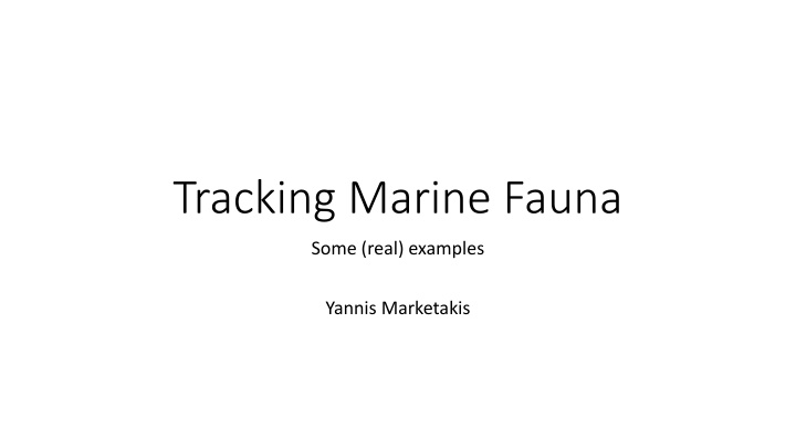 tracking marine fauna