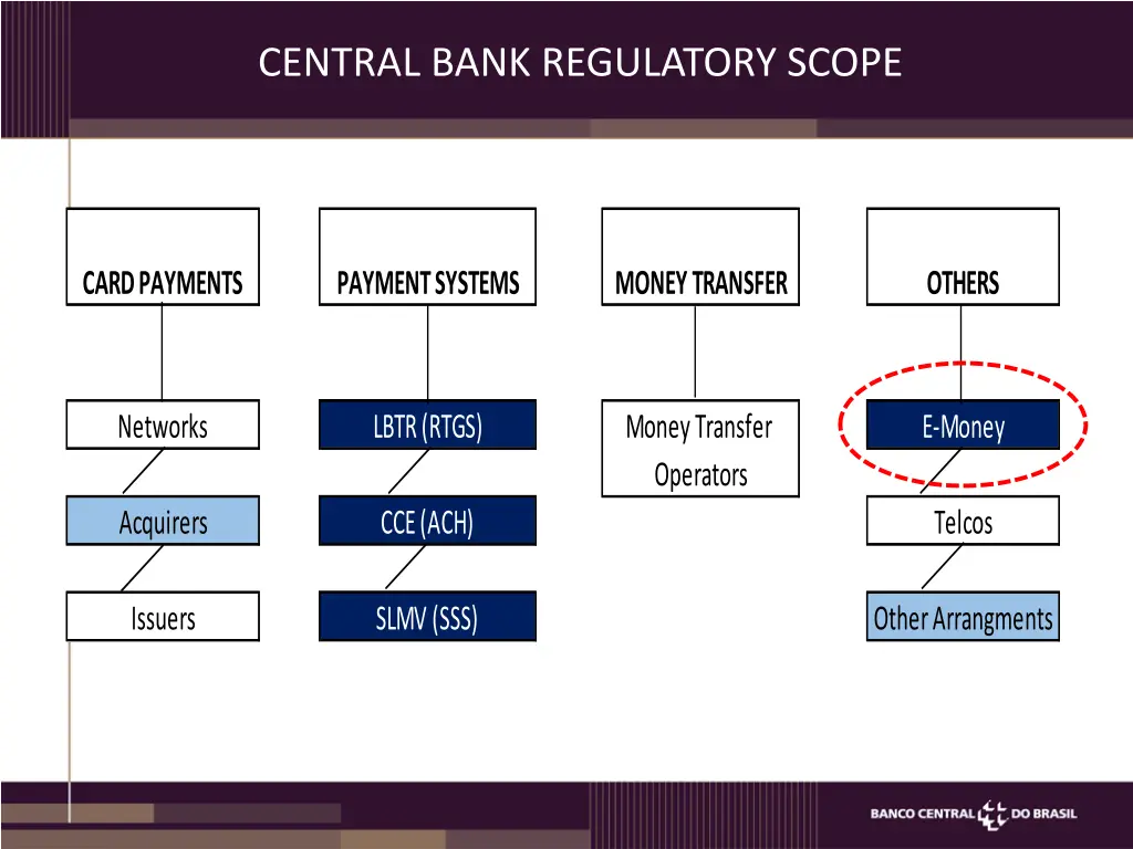 central bank regulatory scope