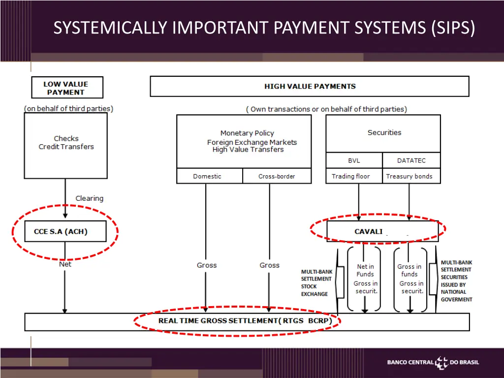 systemically important payment systems sips 1