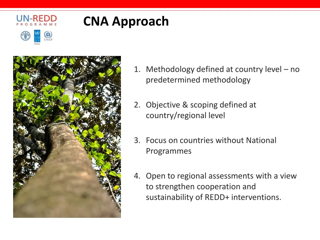 cna approach