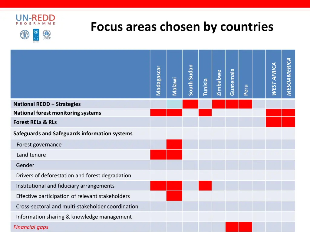 focus areas chosen by countries