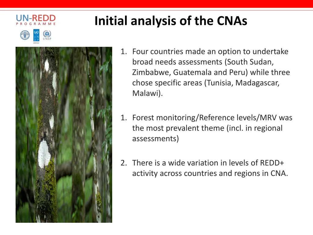 initial analysis of the cnas