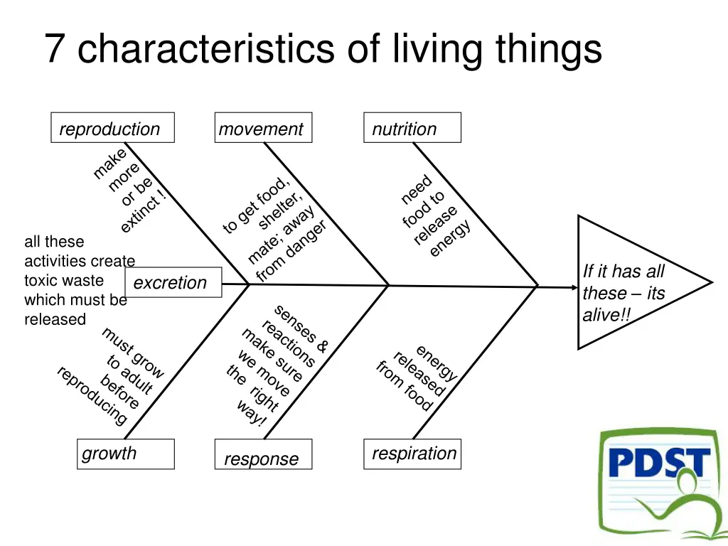 7 characteristics of living things 1