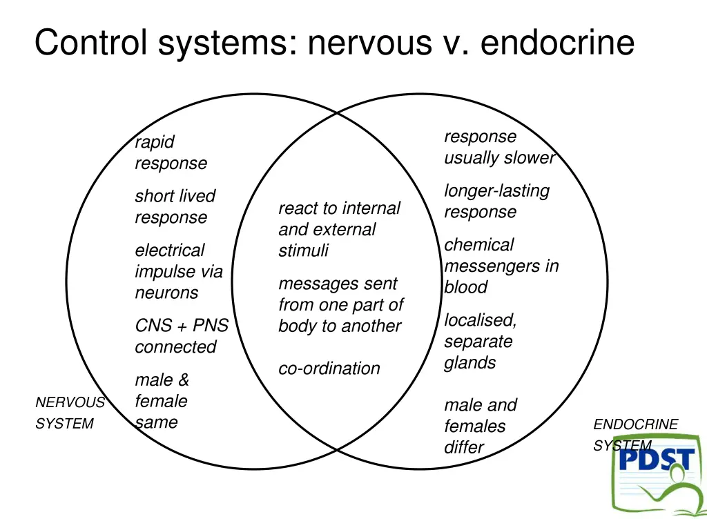 control systems nervous v endocrine