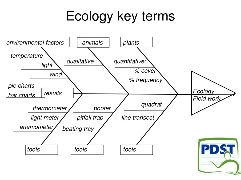 ecology key terms