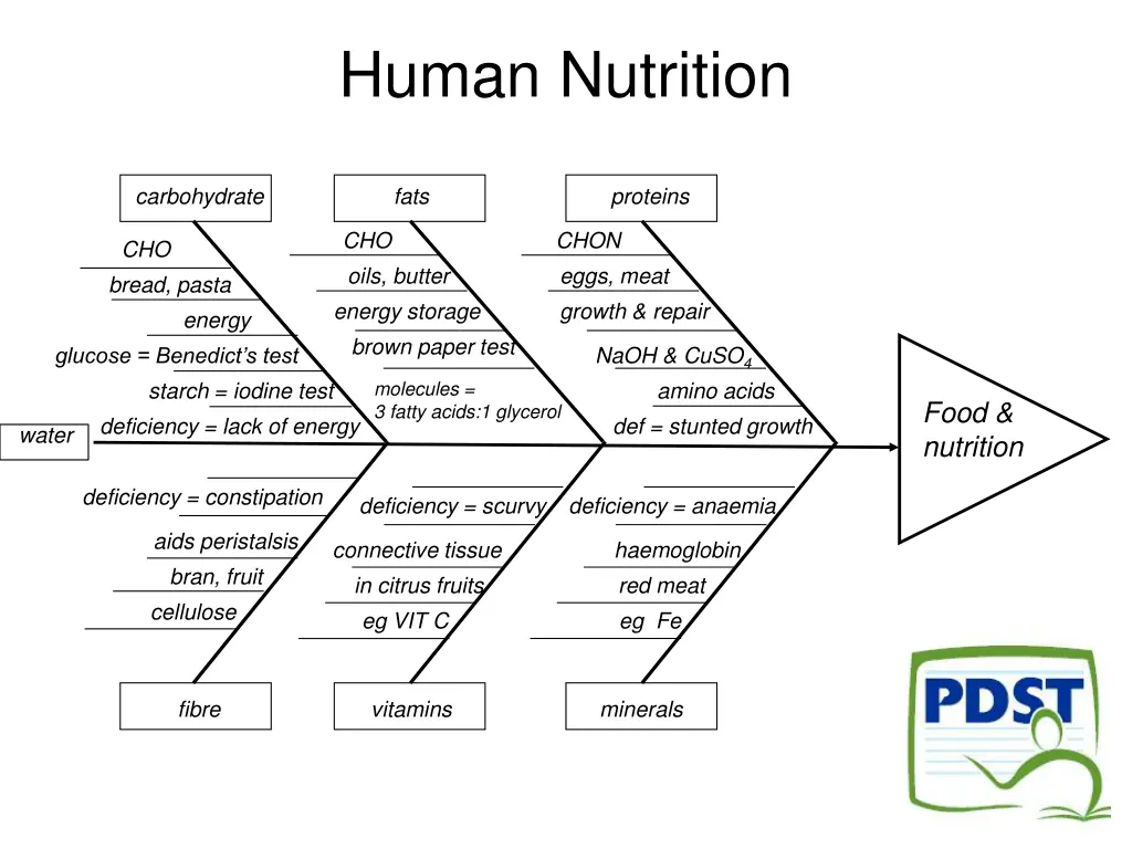 human nutrition