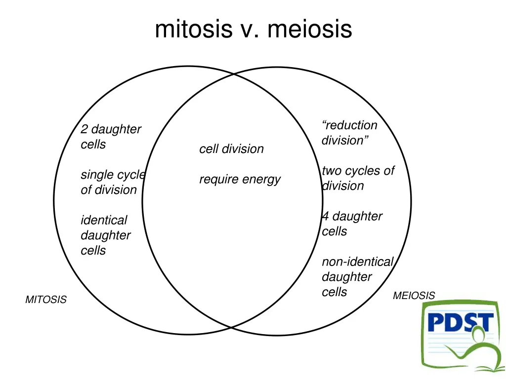 mitosis v meiosis