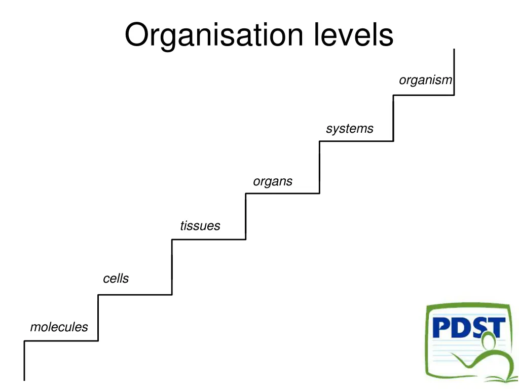 organisation levels