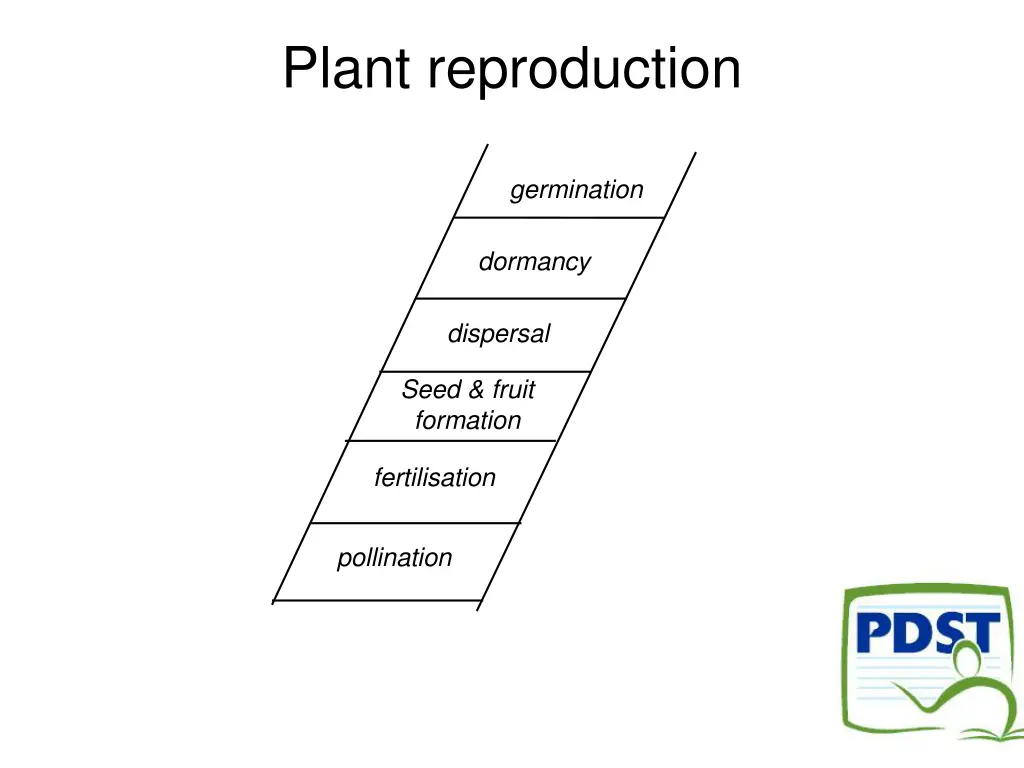 plant reproduction