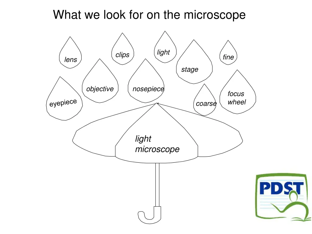 what we look for on the microscope