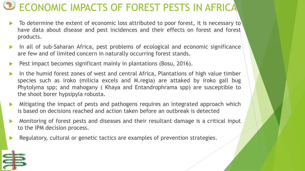 economic impacts of forest pests in africa