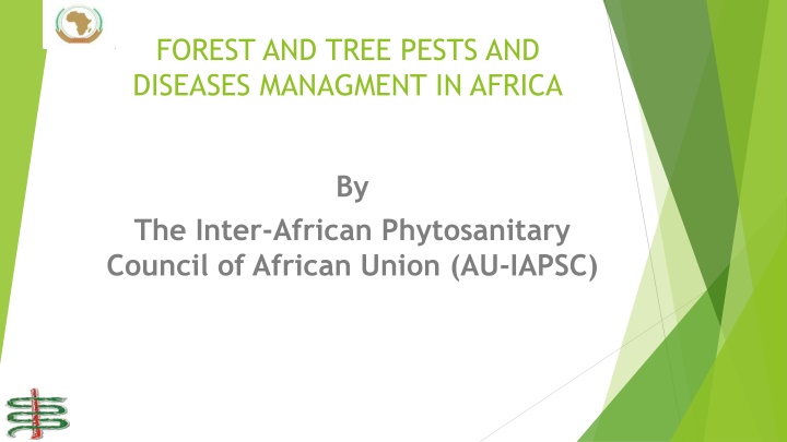 forest and tree pests and diseases managment