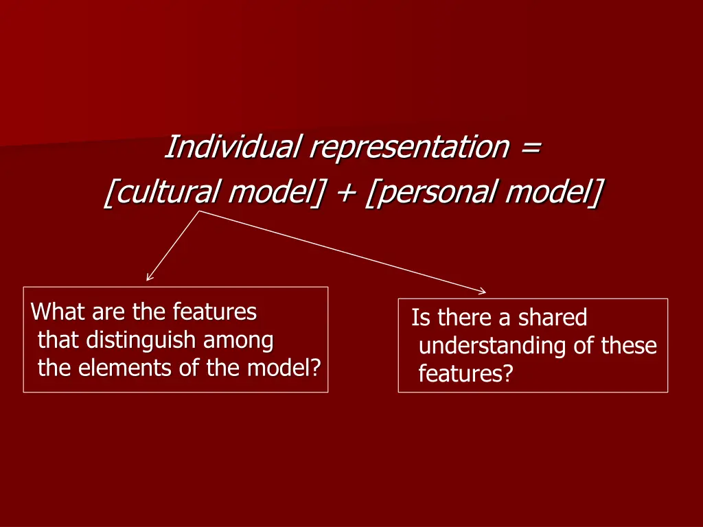 individual representation cultural model personal