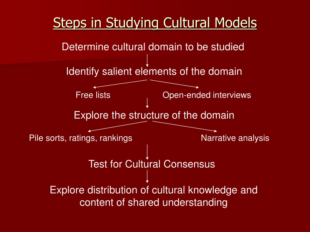 steps in studying cultural models