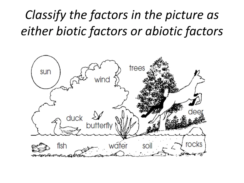 classify the factors in the picture as either