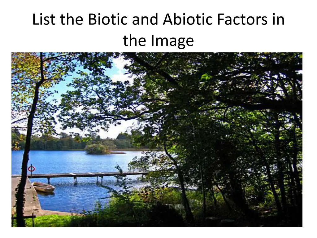 list the biotic and abiotic factors in the image