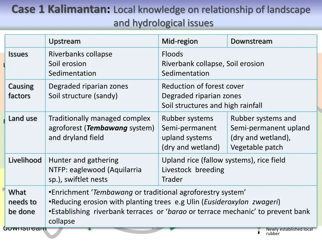 case 1 kalimantan local knowledge on relationship