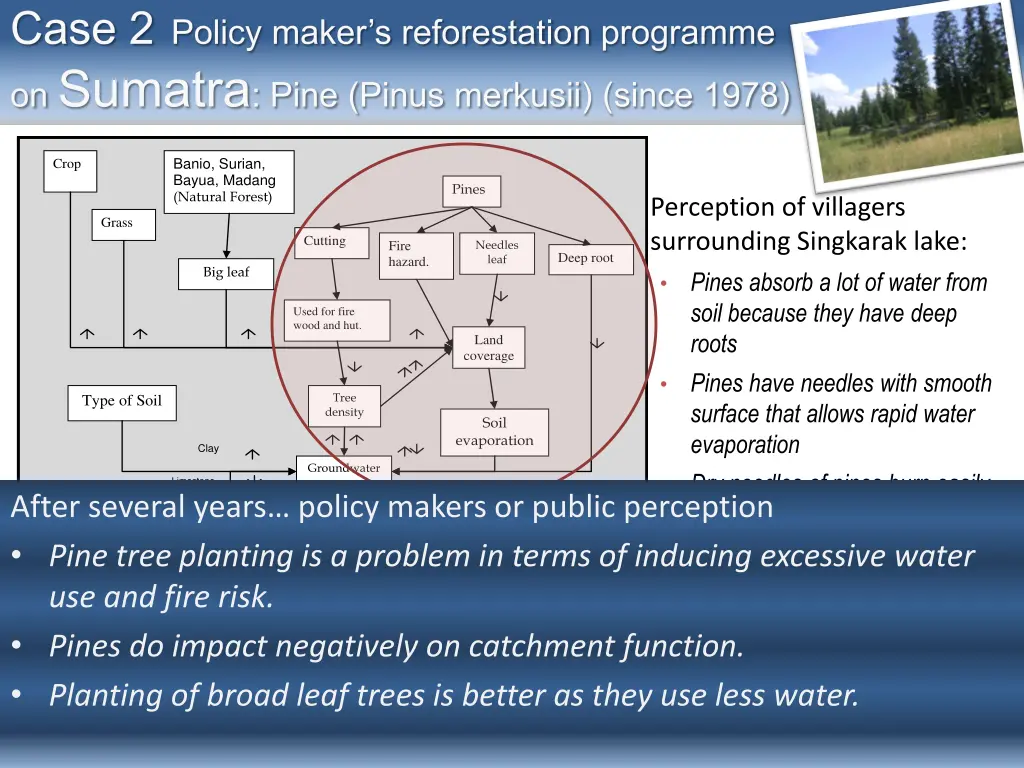 case 2 policy maker s reforestation programme