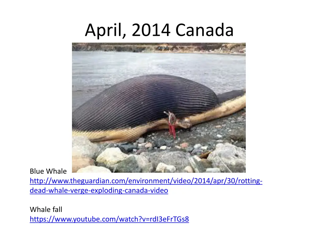 april 2014 canada