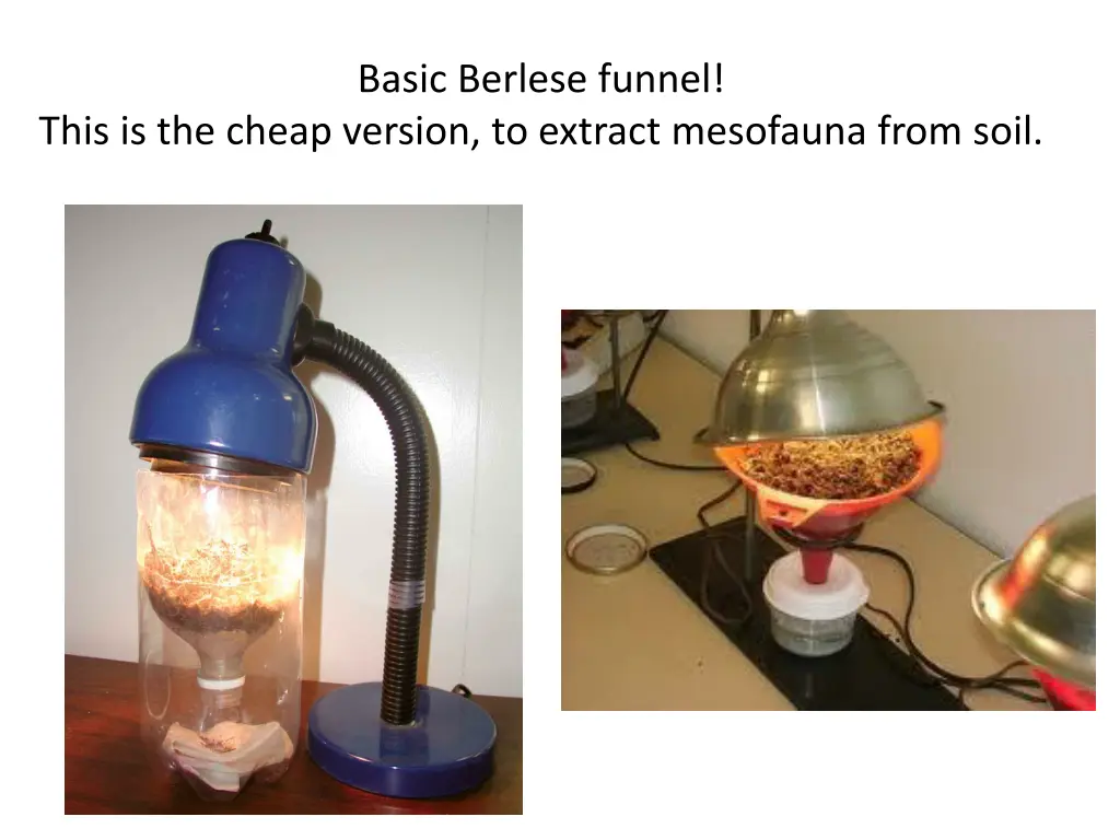 basic berlese funnel