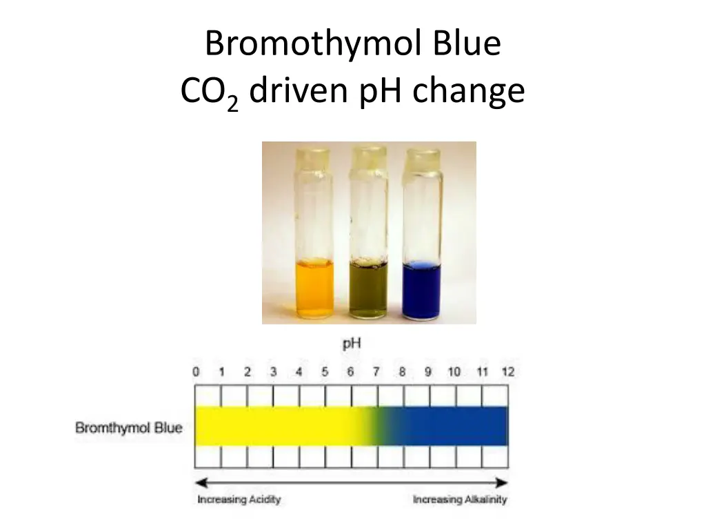 bromothymol blue co 2 driven ph change