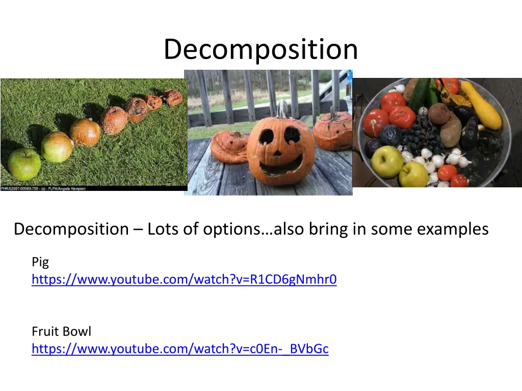 decomposition