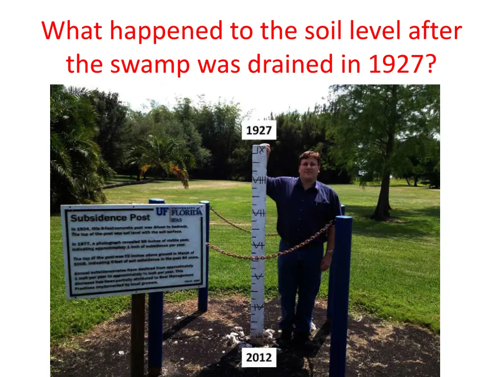 what happened to the soil level after the swamp