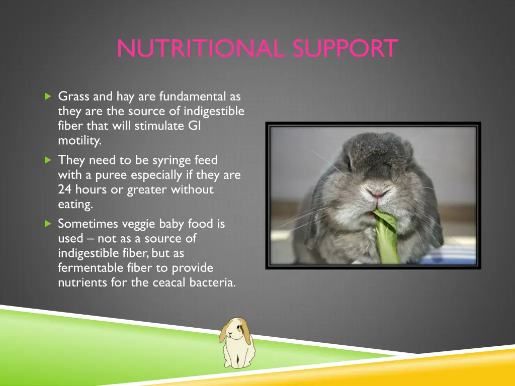 nutritional support