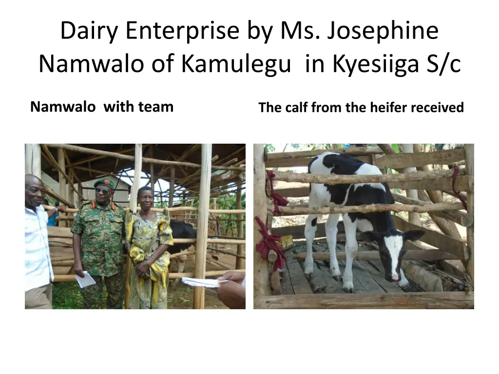 dairy enterprise by ms josephine namwalo