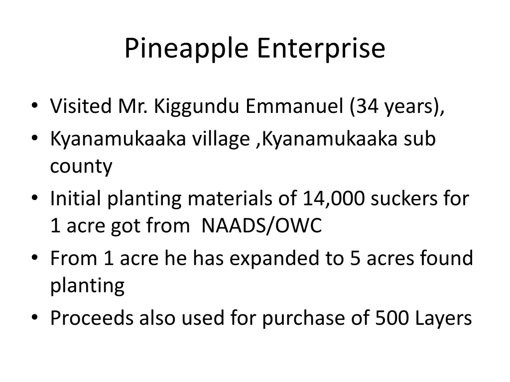 pineapple enterprise