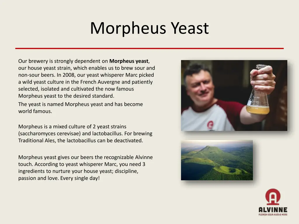 morpheus yeast