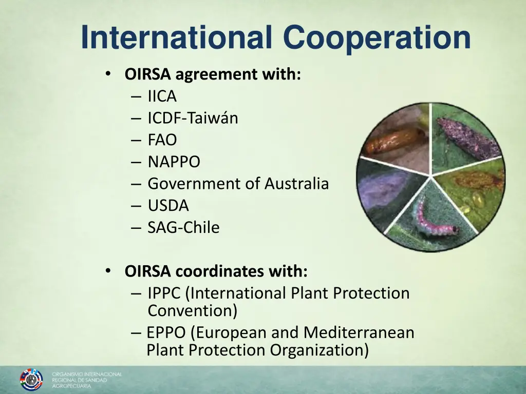 international cooperation