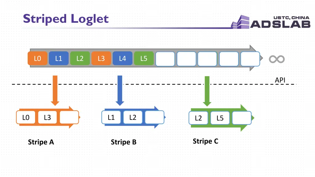 striped loglet 1