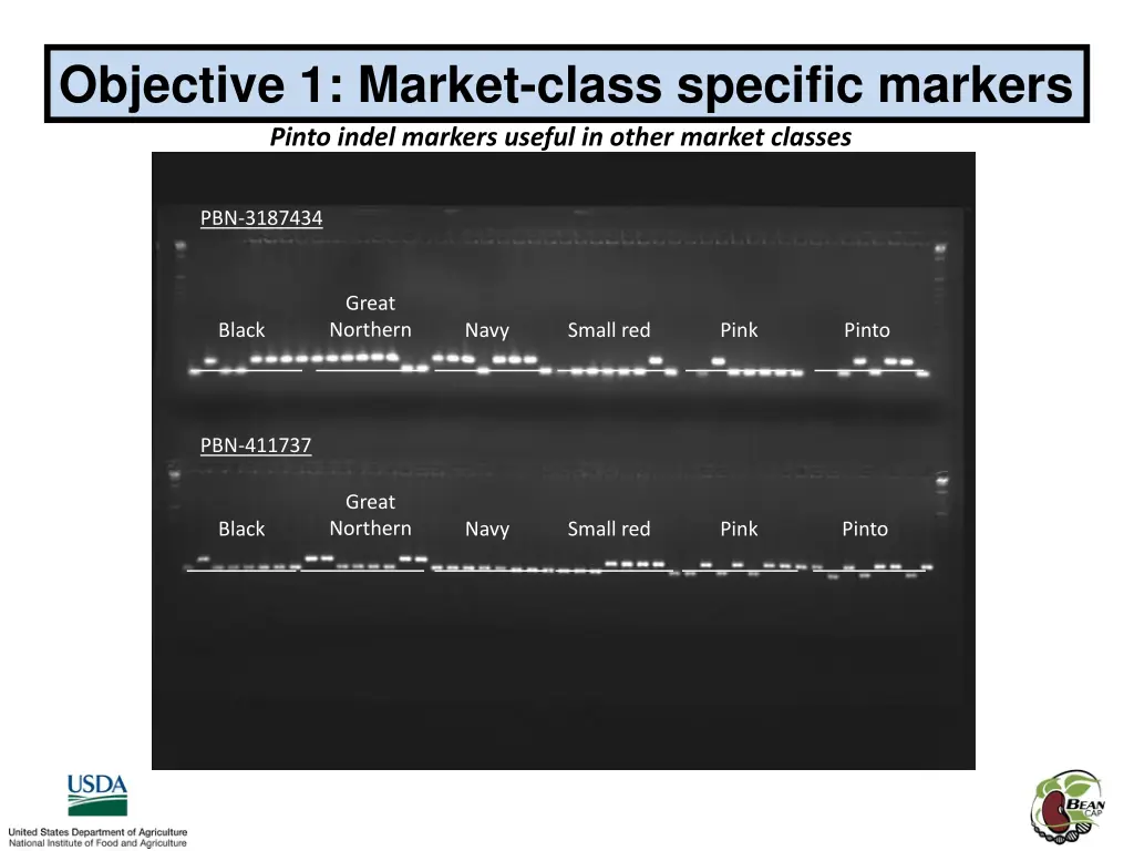 objective 1 market class specific markers 3