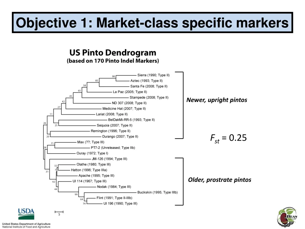 objective 1 market class specific markers 4