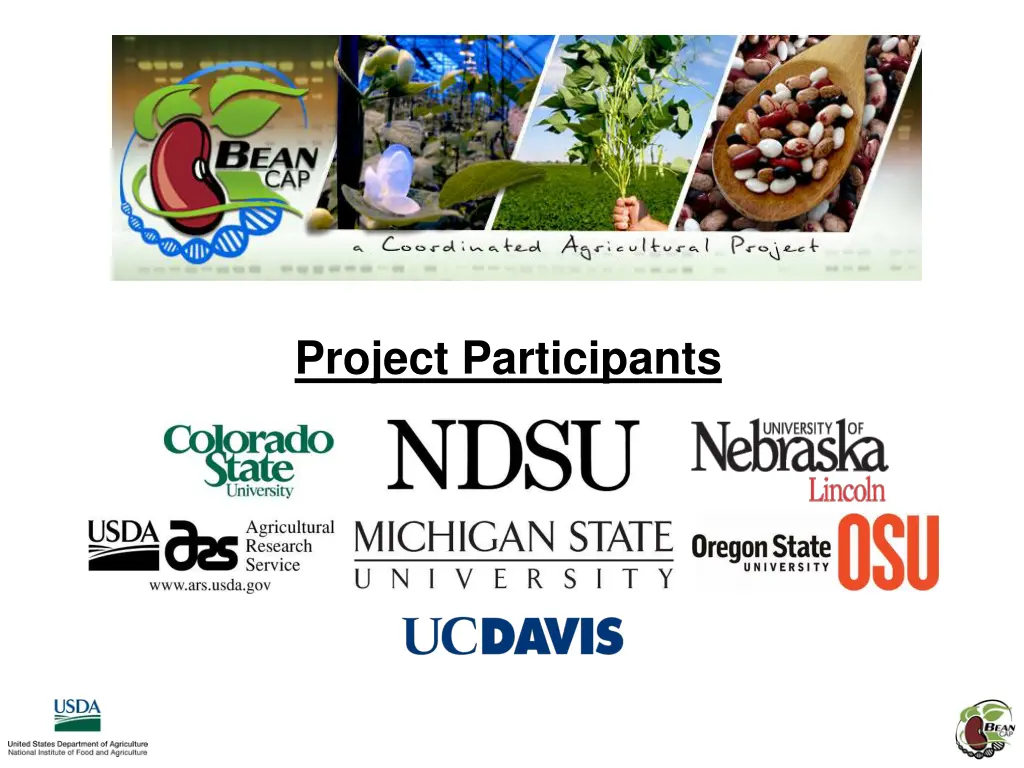 project participants