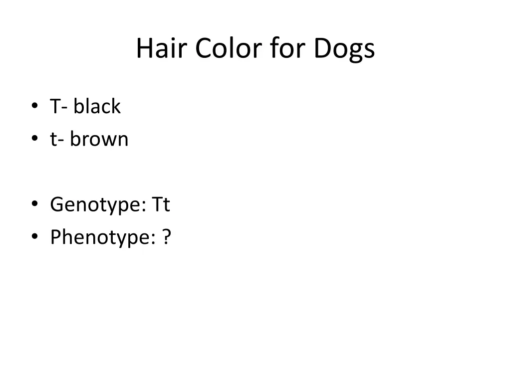 hair color for dogs 1