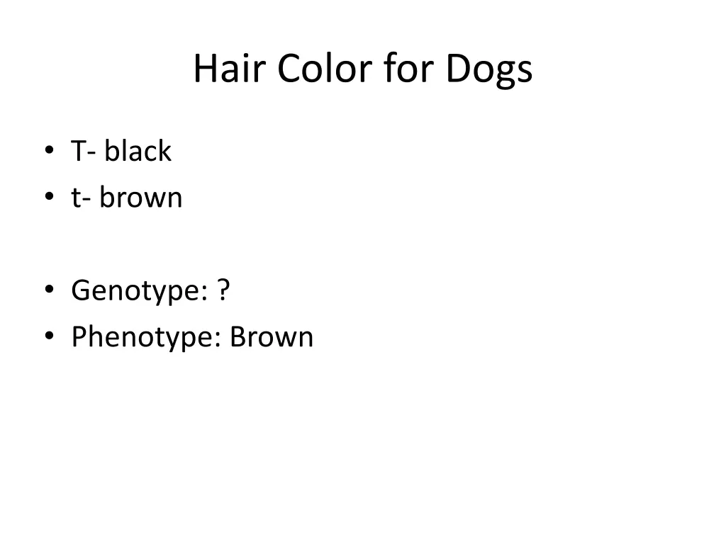 hair color for dogs 2