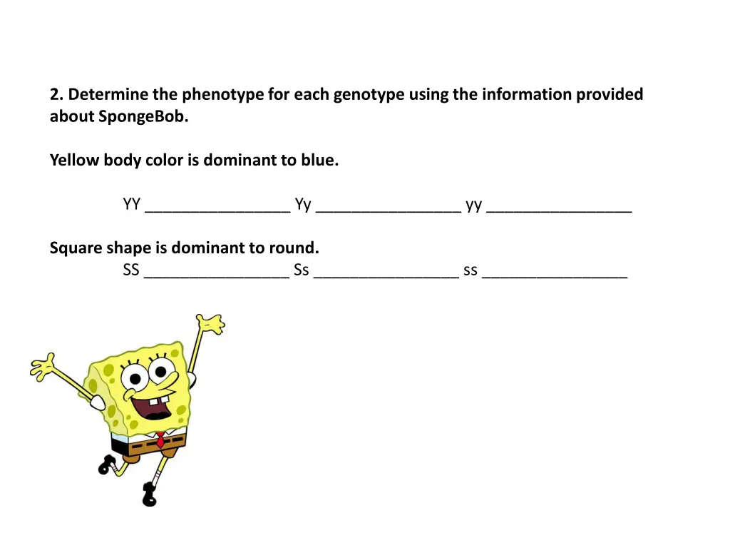 2 determine the phenotype for each genotype using