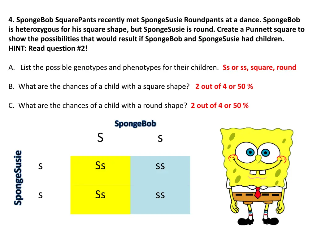 4 spongebob squarepants recently met spongesusie 1